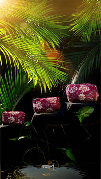 Red floral cushions on a chair surrounded by green foliage with sunlight filtering through.