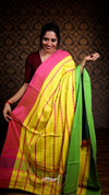 Woman wearing a colorful saree with a dark patterned wall background