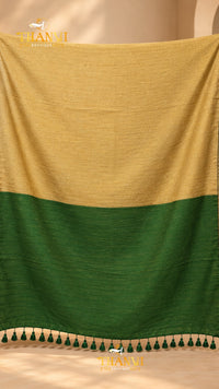 Zari Stripes Border