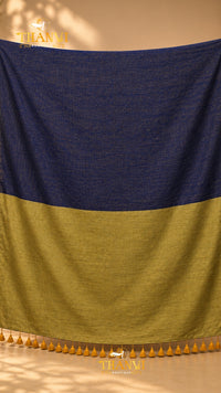 Zari Stripes Border