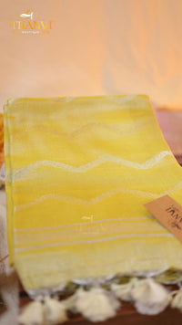 Dragon Tissue Saree