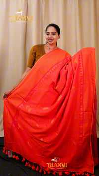 Zari Emb Stripes Border
