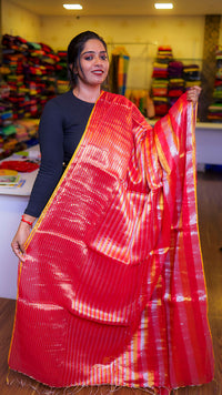 Tissue Stripes Saree
