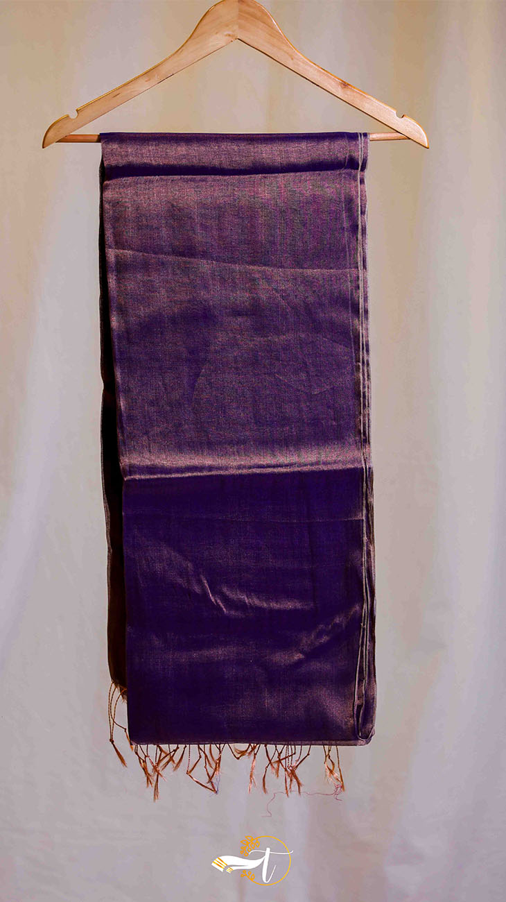 Raga Silk Plain Saree