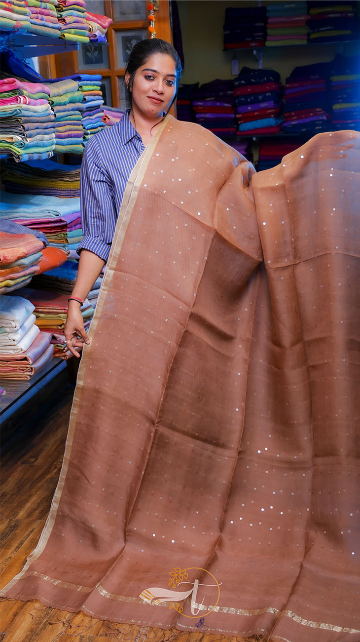 Woman holding a brown saree in a fabric store