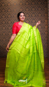 Coin Matka Saree