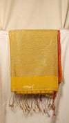 Pallu Stripe Tissue Linen Border