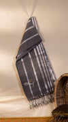 Tissue Stripes Saree