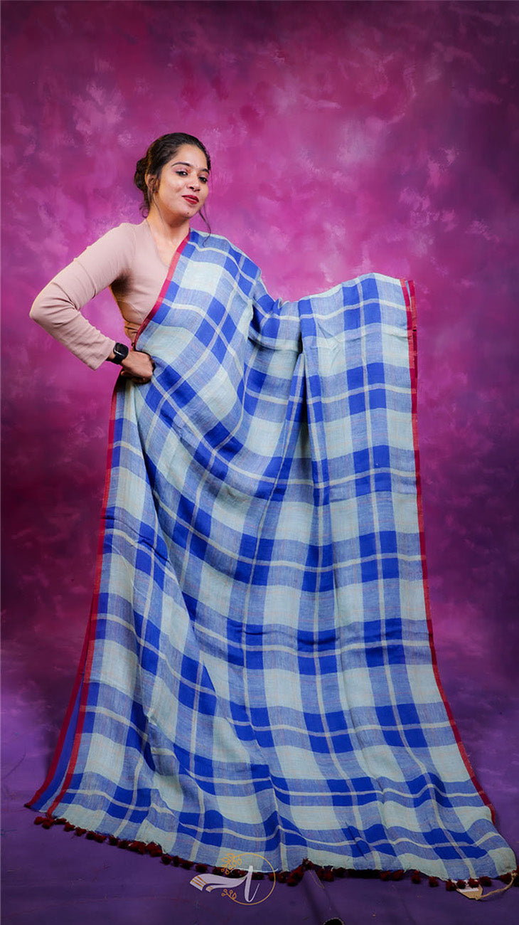 Woman wearing a blue and white checkered saree against a purple background
