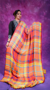 Woman wearing a colorful saree against a purple background