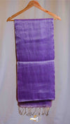 Raga Silk Plain Saree