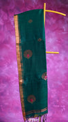 Green saree with gold border on a pink textured background