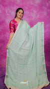Woman wearing a light green saree with a pink blouse against a pink background