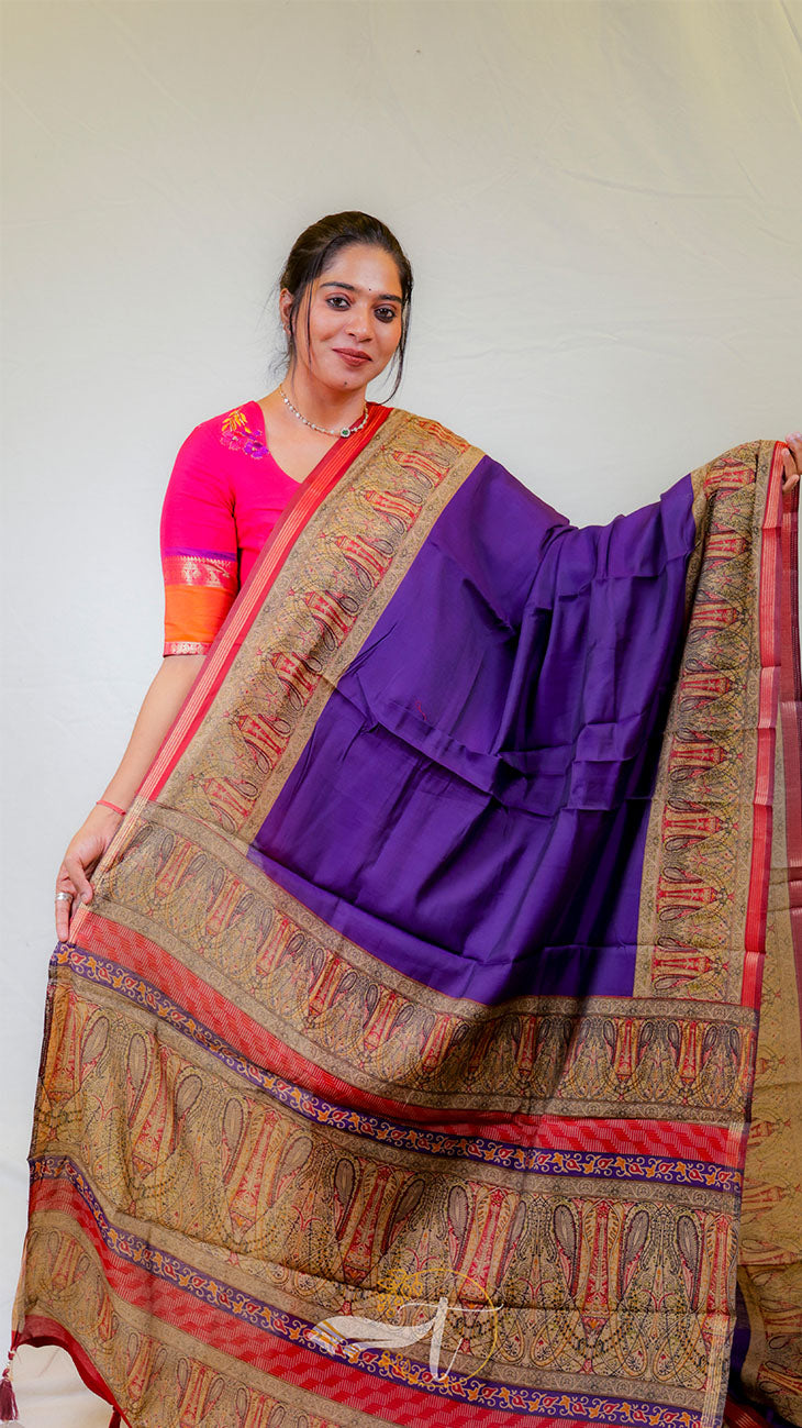Woman wearing a colorful saree with a purple blouse against a white background