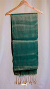 Raga Silk Plain Saree