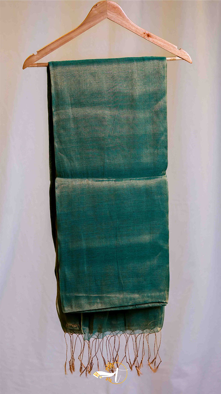Raga Silk Plain Saree