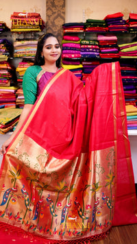 Pochampally Cotton Saree