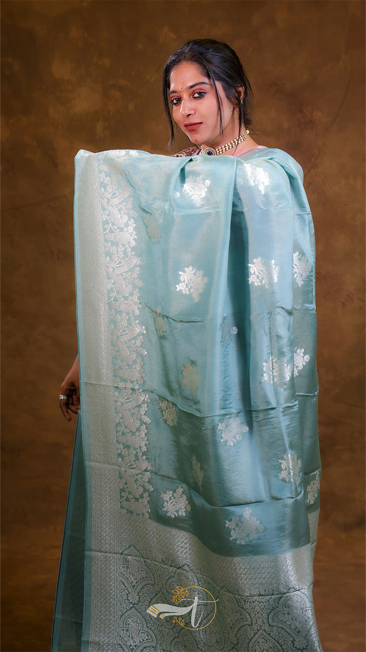 Woman wearing a light blue saree with white floral patterns against a brown background