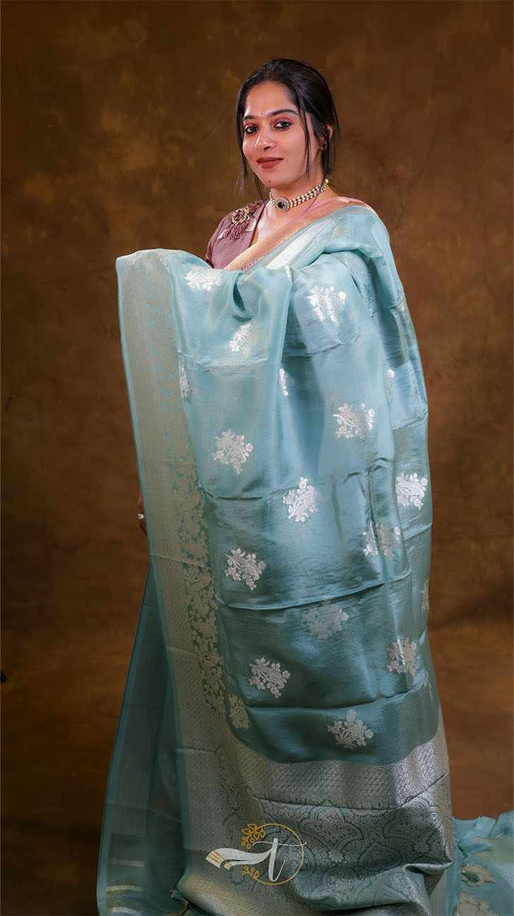 Woman wearing a light blue saree with white patterns against a brown background