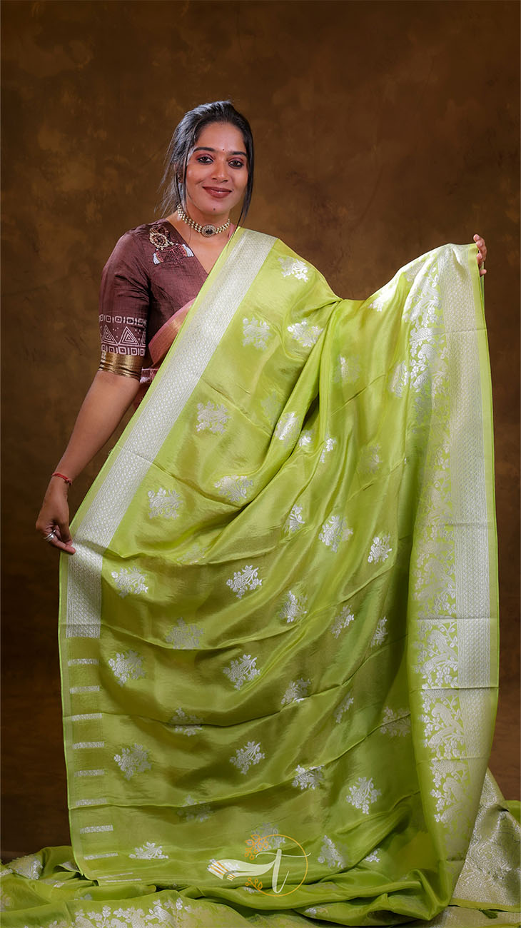Woman wearing a light green saree with a brown background