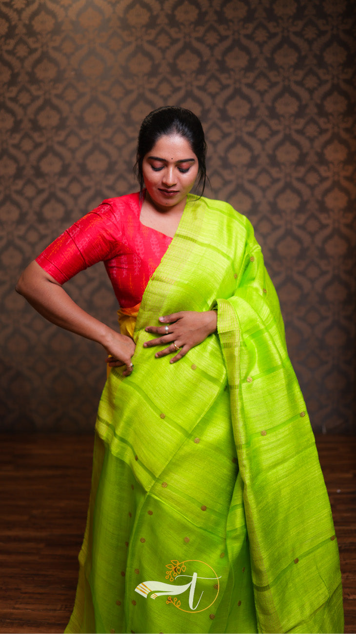 Coin Matka Saree
