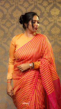 Woman wearing a traditional saree with a patterned background