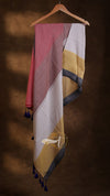 Popstick Stripes Saree