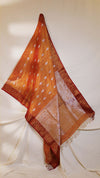 Tissue Banarasi Saree