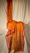 Pallu Stripe Tissue Linen Border