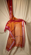 Pallu Stripe Tissue Linen Border