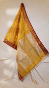 Tissue Banarasi Saree
