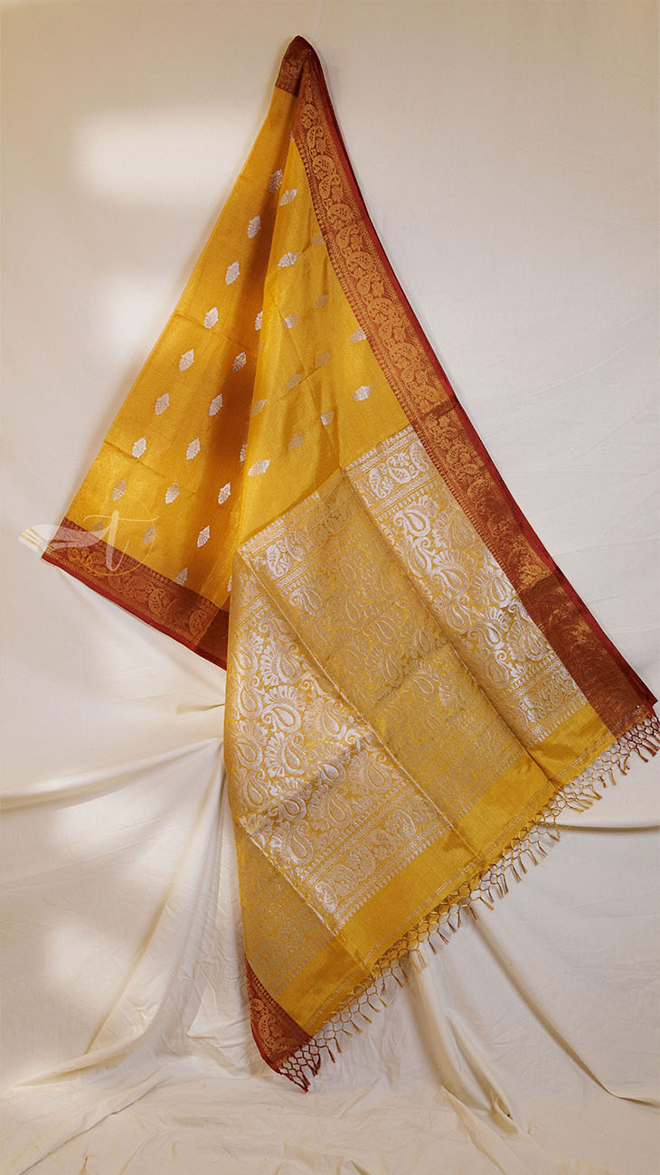 Tissue Banarasi Saree