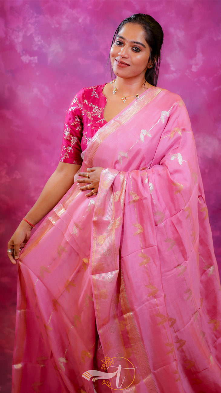 Woman wearing a pink saree with a floral blouse against a pink background