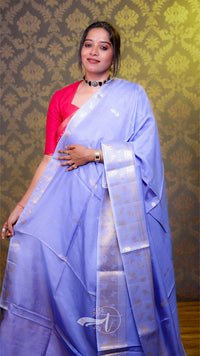 Woman wearing a light blue saree with a red blouse against a patterned wall.