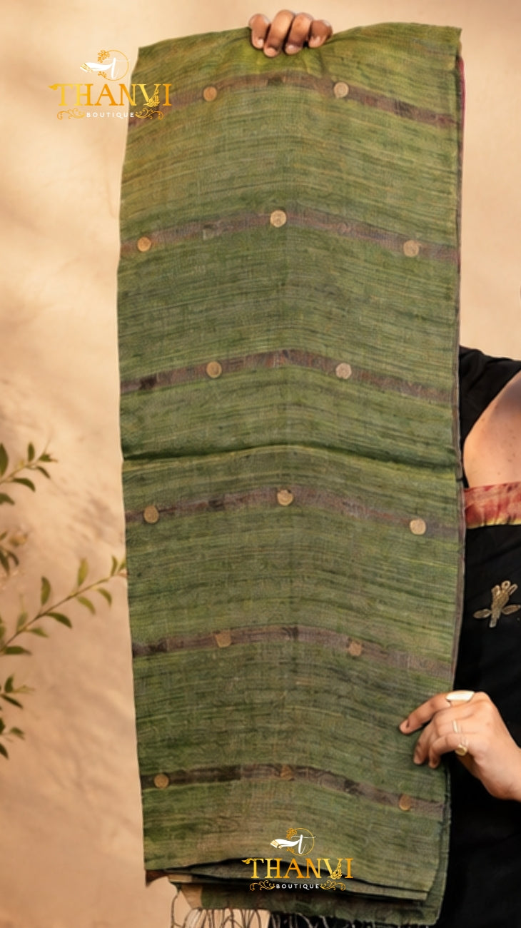Coin Matka Saree