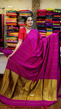Mulberry Sequence Saree