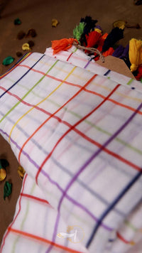 Popstick Checks Saree