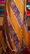 Turtle Saree