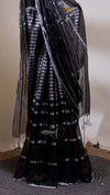 Tissue Stripes Saree
