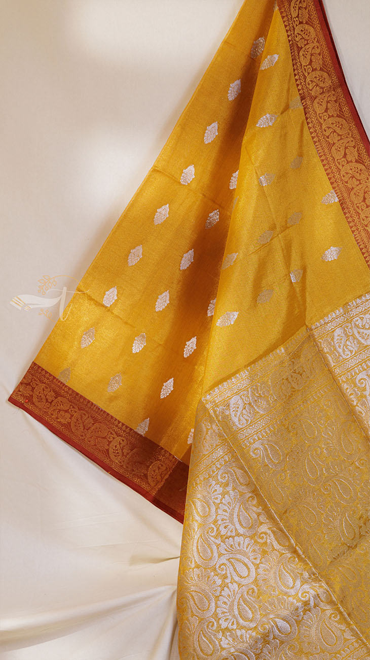 Tissue Banarasi Saree