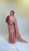 Half Mirror Saree