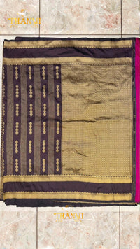 Golden Zari Border Saree