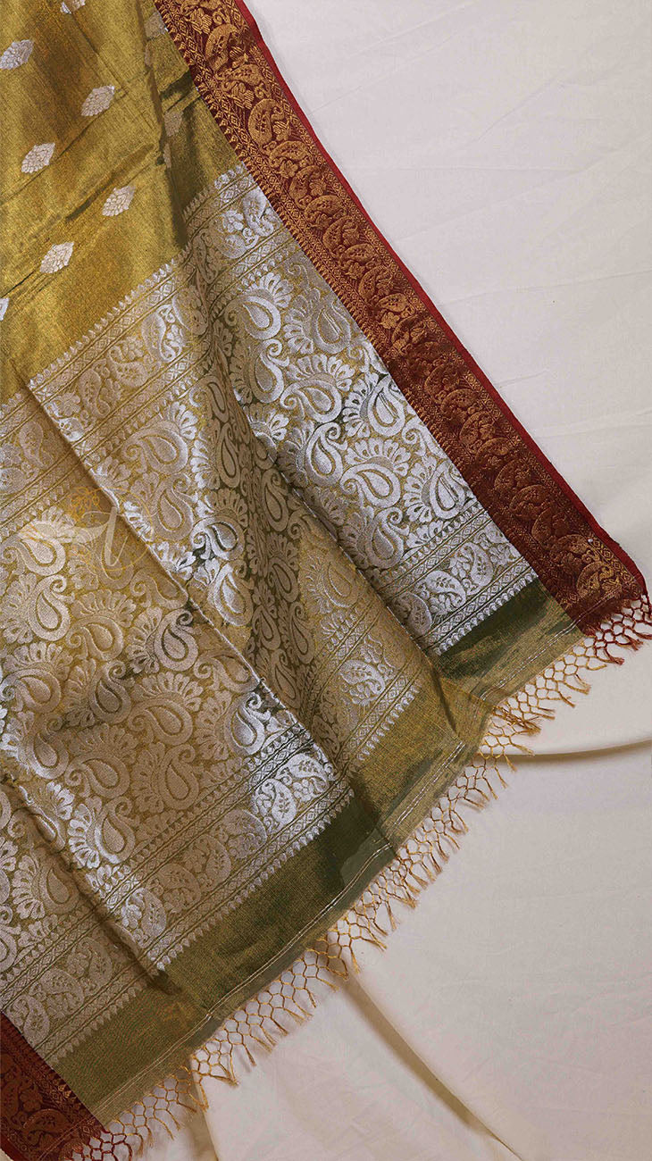 Tissue Banarasi Saree