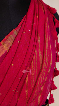 Linen Sequence Saree