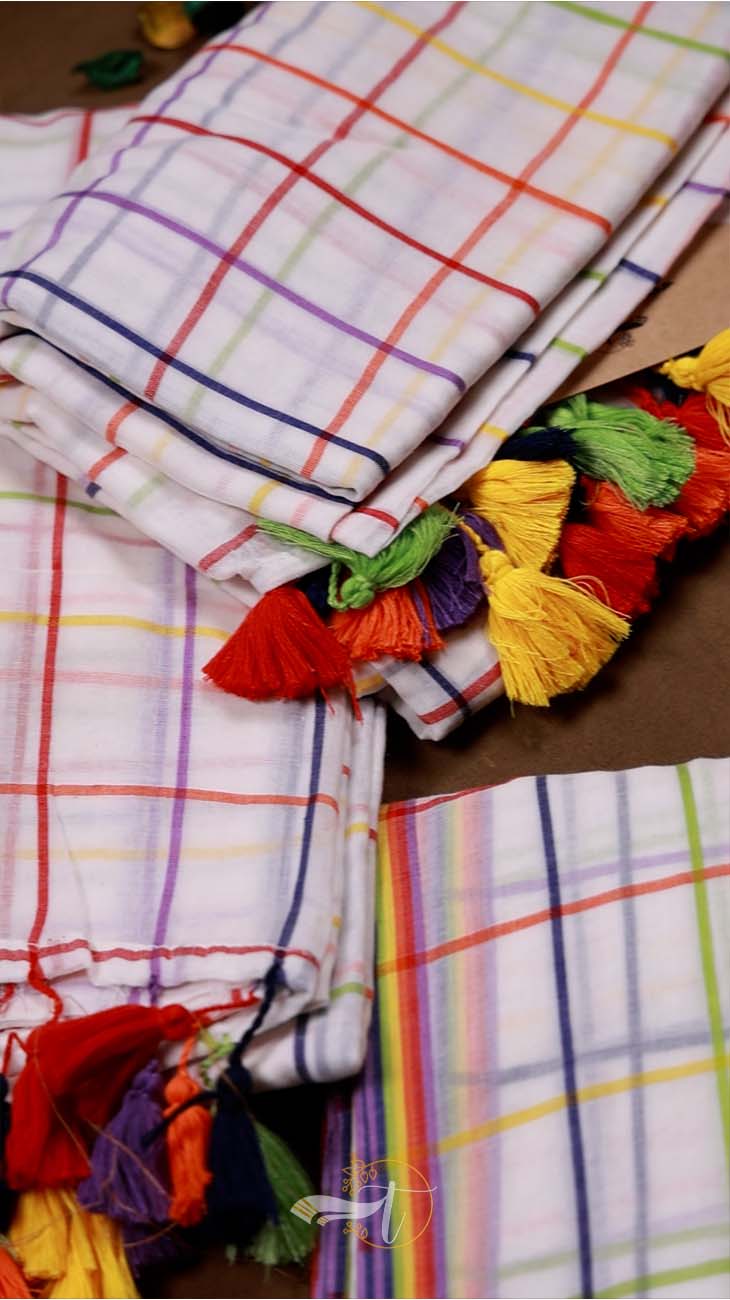 Popstick Checks Saree