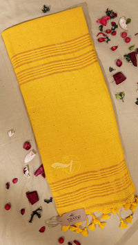 Linen Sequence Saree