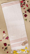 Linen Sequence Saree