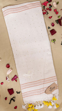 Linen Sequence Saree