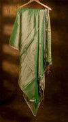 Raga Pearl Lace Tissue Saree