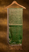 Raga Pearl Lace Tissue Saree